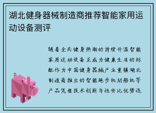 湖北健身器械制造商推荐智能家用运动设备测评