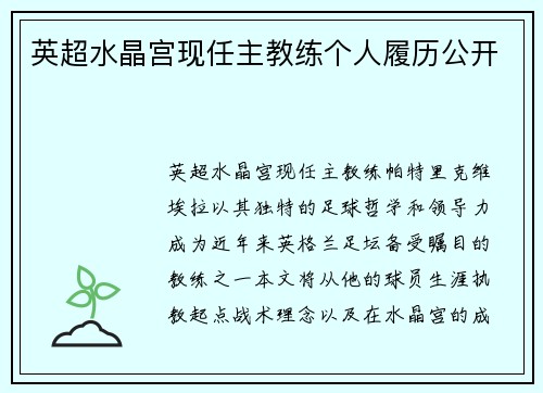 英超水晶宫现任主教练个人履历公开